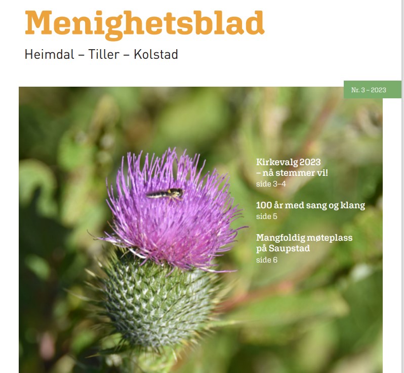 Menighetsblad 3 - 2023 - Kolstad Menighet